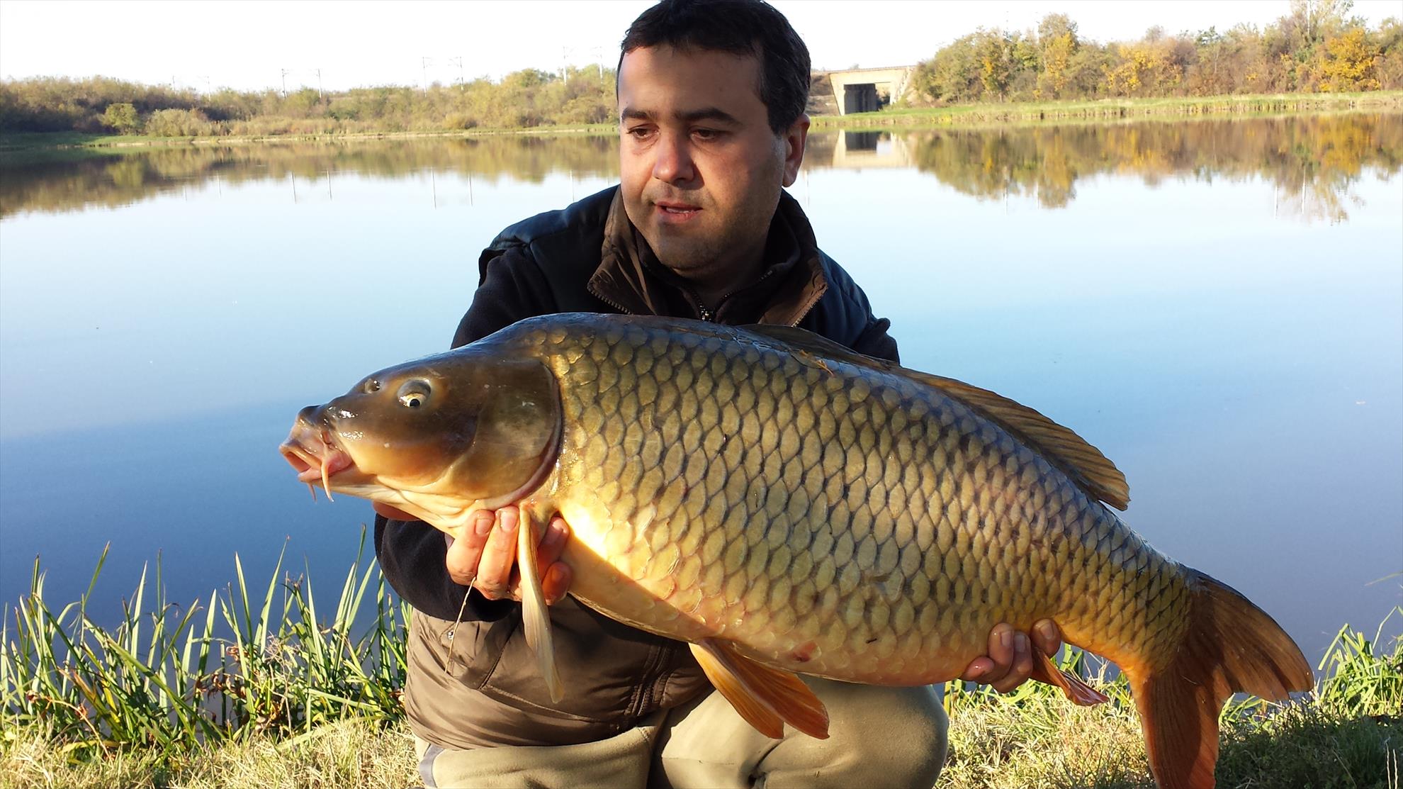 Peris 2013 - 2013-10-20-094921.jpg